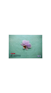 Папка Brauberg Flower конверт с кнопкой А4 до 100листов