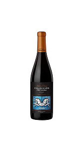Вино Colleccion Privada Syrah красное сух. 13.5% 0.75л