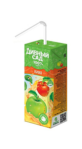 Нектар Дивный Сад Яблочный 200мл