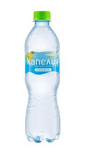 Вода Капелия негазированный со вкусом яблока 0.5л