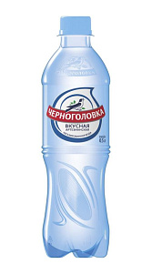 Вода Черноголовка Артезианская негазированная 500мл