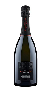 Вино игристое Terra Vizina Conegliano Valdobbiadene Prosecco Superiore DOC Белое Сухое 11% 0,75л