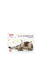 Блокнот Пифагор для рисования А4 20л
