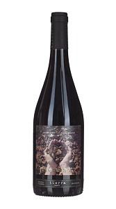 Вино Elements Noche Carignano & Garnacha красное сух 14% 0.75л